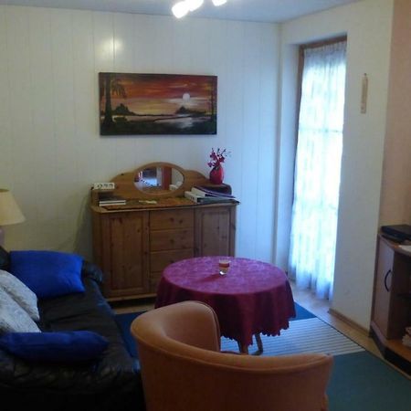 Schwarzwaldhaus Apartment Elzach Ngoại thất bức ảnh