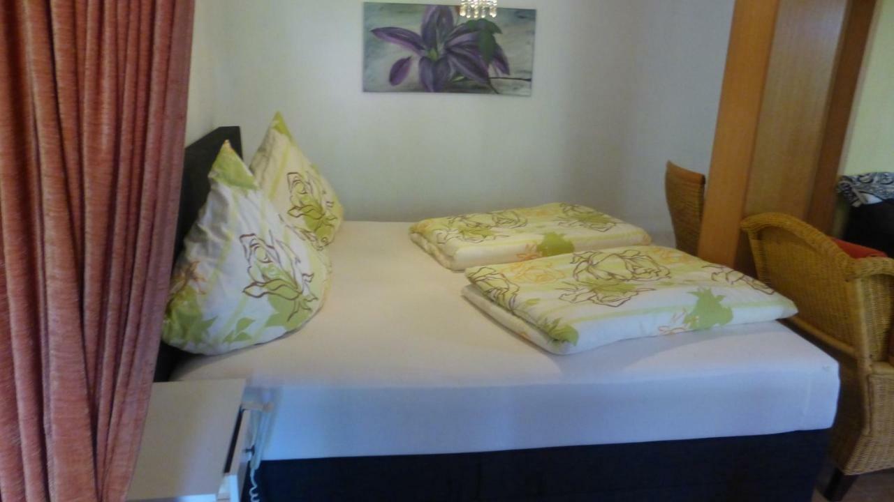 Schwarzwaldhaus Apartment Elzach Ngoại thất bức ảnh